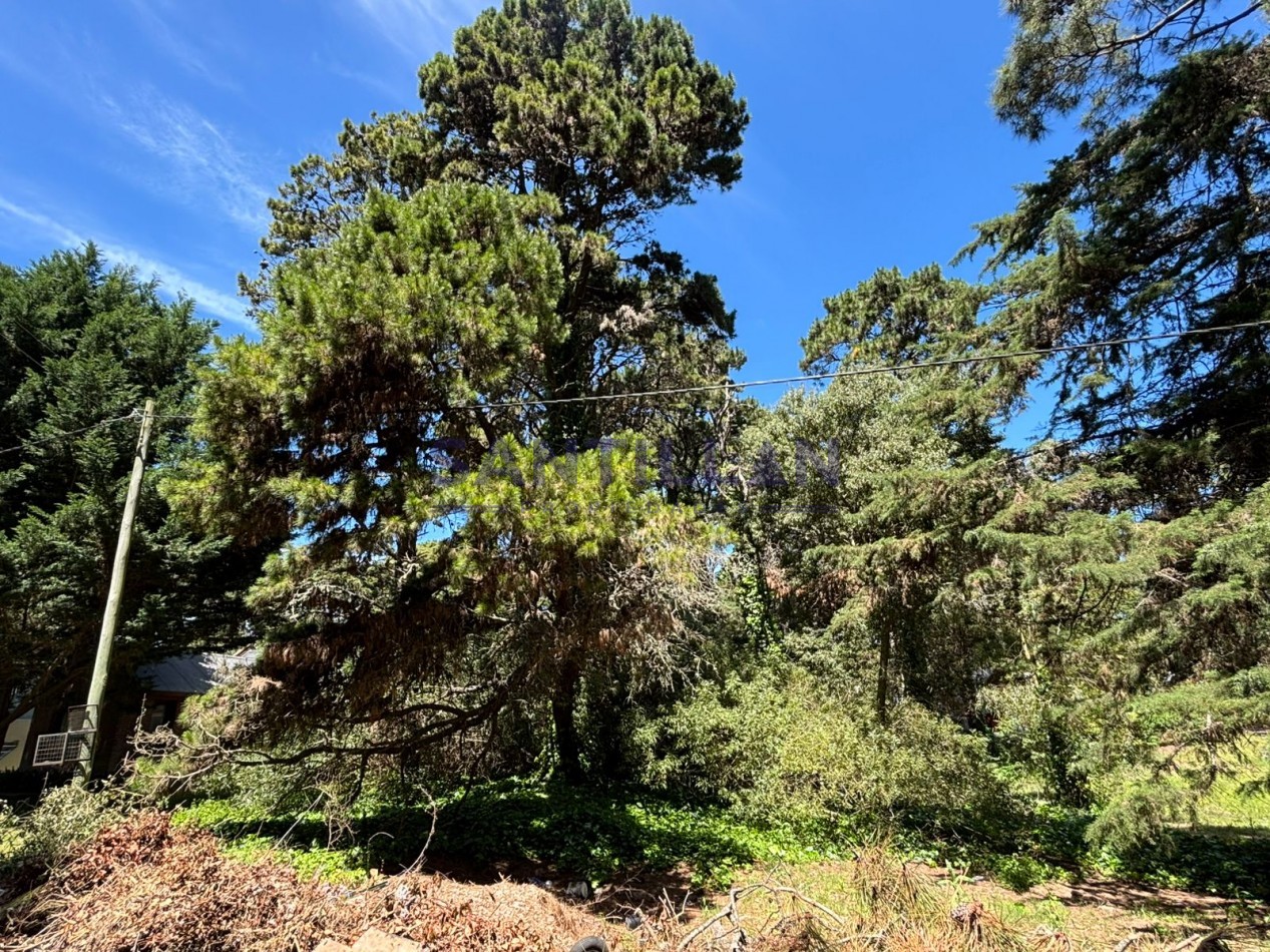 Terreno en venta en Valeria del Mar